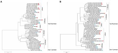 Genetic characterization of porcine reproductive and respiratory syndrome virus from Eastern China during 2017–2022